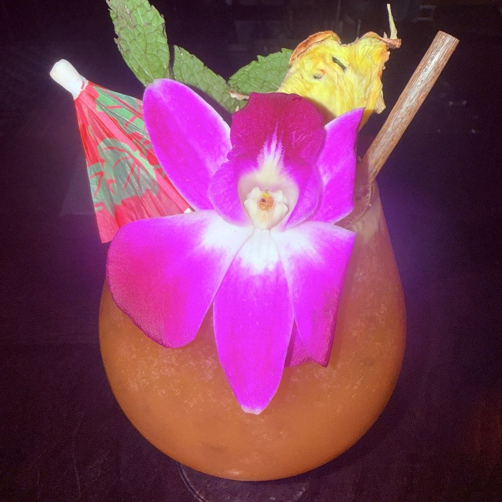 Morgan’s Cove - Rum bowl!! No filter! It really looks like that! - Tiki Bars Near Me - Tampa, Florida Morgan’s Cove - Rum bowl!! No filter! It really looks like that! - Tiki Bars Near Me - Tampa, Florida