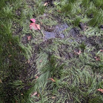 Done Right Plumbing, Heating, and Sewer Repair - The flood in our yard from the FAILED repair from the previous company - Plumbing Near Me - Lynnwood, Washington Done Right Plumbing, Heating, and Sewer Repair - The flood in our yard from the FAILED repair from the previous company - Plumbing Near Me - Lynnwood, Washington