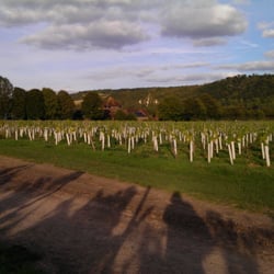 Denbies Wine Estate
