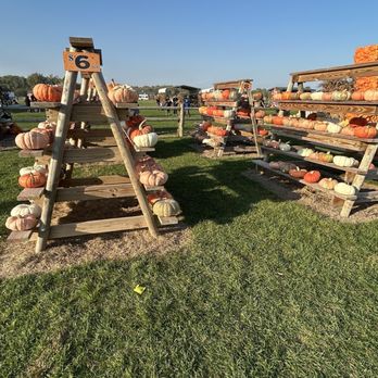 DeBucks Family Farm - Pumpkins for sale - Pumpkin Patches Near Me - Belleville, Michigan DeBucks Family Farm - Pumpkins for sale - Pumpkin Patches Near Me - Belleville, Michigan