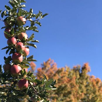 Libby & Son U-Pick - Pick Your Own Farms Near Me - Limerick, Maine