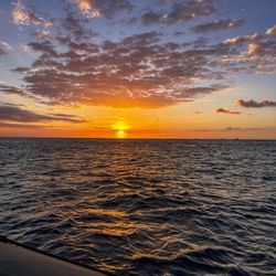Hawaii Marine Life Charters