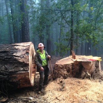 Arnold Bros - Tree Services Near Me Arnold Bros - Tree Services Near Me
