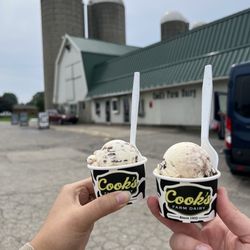 Cook's Farm Dairy - Small Ice cream cups (holy cow and tractor trails