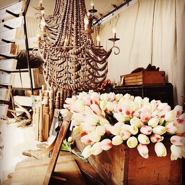 HIPICO - equestrian in Santa Fe, NM