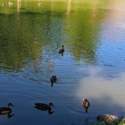 Indian Lake Park