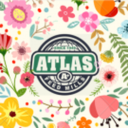 Atlas Feed Mills - Atlas Feed Mills Inc.
