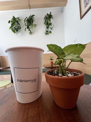 Montemug Coffee by null