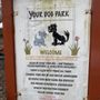 Photo of Short Beach Dog Park