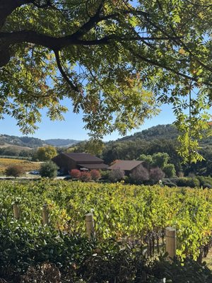 Halter Ranch by null