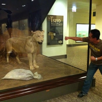 Shedd Aquarium - i aint afraid of no cat! - Aquariums Near Me - Chicago, Illinois