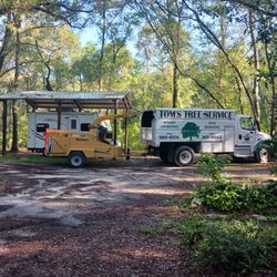 Tom's Tree Service