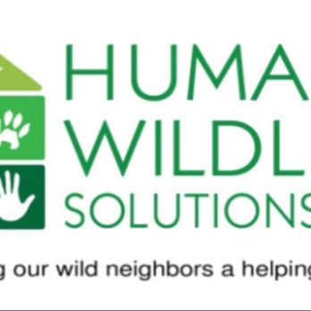 Humane Wildlife Solutions - Wildlife Control Near Me Humane Wildlife Solutions - Wildlife Control Near Me