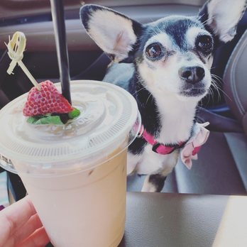 Cause Coffee - Coffee & Tea Near Me - De Soto, Kansas