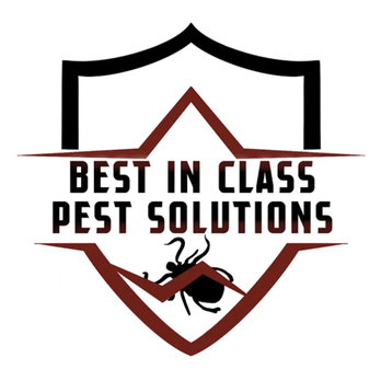 1. Best In Class Pest Solutions