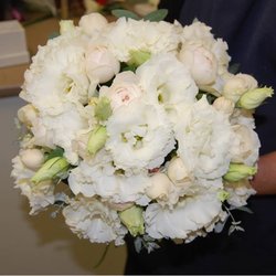 Platinum Floral
