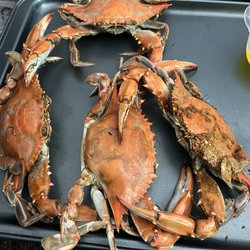 Capt Smiths Seafood Market - #2 male crabs with barely any seasoning.