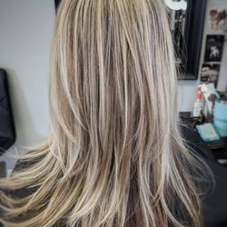 Mane Attractions - Highlight s and trim