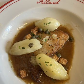 Allard - Skate wing - French Near Me - Paris, 75