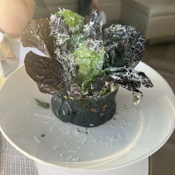 The Penthouse - Caesar Salad - New American Near Me - Santa Monica, California The Penthouse - Caesar Salad - New American Near Me - Santa Monica, California