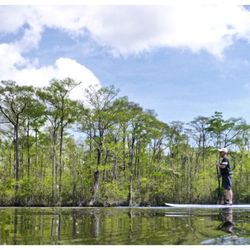 Carolina Waterman - One of our locals out for a paddleboard lesson on a beautiful sunny morning!