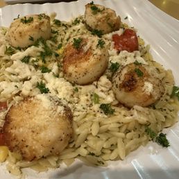 Scallops Scallops
