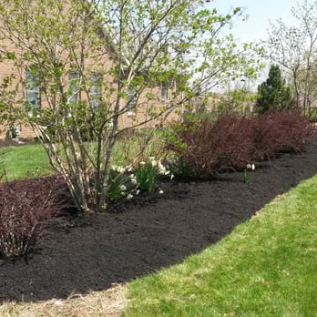 Nessley's Lawn Care - black mulch and shrubs - Landscaping Near Me