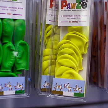 American Kennels - Pet Stores Near Me - New York, New York American Kennels - Pet Stores Near Me - New York, New York