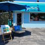 Photo of Sea Turtle Gallery & Gifts
