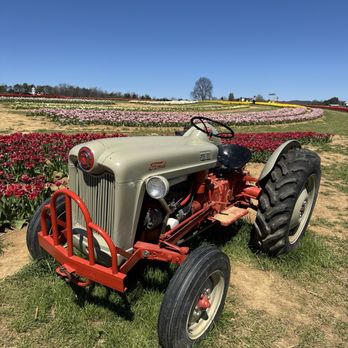 Oakes Farm - Vintage tractor - Attraction Farms Near Me - Corryton, Tennessee Oakes Farm - Vintage tractor - Attraction Farms Near Me - Corryton, Tennessee