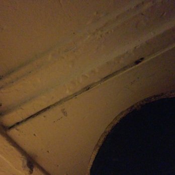 MLC Properties & Management - Bedbugs - Real Estate Services Near Me - Chicago, Illinois