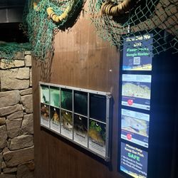 National Aquarium Of Ireland