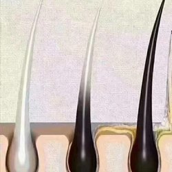 Bonney Lake Foot Massage - Head treatment - Grow black hair fast.
It only takes 7 days to grow a head of black hair. (cover all your white hair)