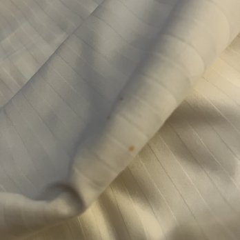 Austin Southpark Hotel - Stains on bed sheets - Hotels Near Me - Austin, Texas