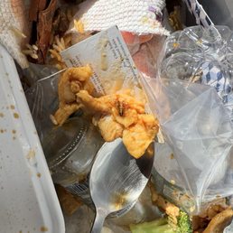 I found a roach in my food today. I had ordered the meal, and as I was nearly finished eating, I discovered it.