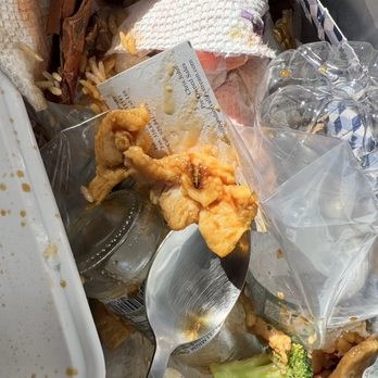 Panda Restaurant - I found a roach in my food today. I had ordered the meal, and as I was nearly finished eating, I discovered it. - Chinese Near Me - Northport, New York