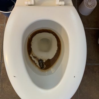 Hatteras Realty - This is the third floor toilet after we flushed it once. The whole thing was brown. Only toilet with the seat down in the home. - Property Management Near Me - Avon, North Carolina