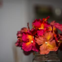 Sage Massage Studio