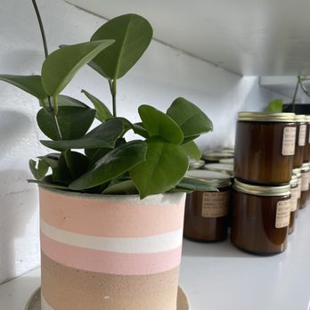 Fern - Soy candles and a starter pot - Home Decor Near Me - Cincinnati, Ohio Fern - Soy candles and a starter pot - Home Decor Near Me - Cincinnati, Ohio