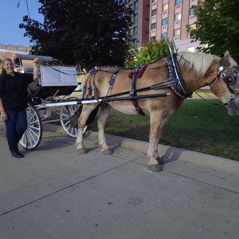Dubuque By Carriage - Tours Near Me - Maquoketa, Iowa Dubuque By Carriage - Tours Near Me - Maquoketa, Iowa
