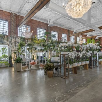 Plants N Petals - Flower Shop - Florists Near Me - Houston, Texas Plants N Petals - Flower Shop - Florists Near Me - Houston, Texas