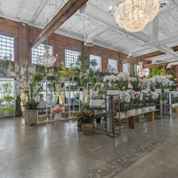 Plants N Petals - Flower Shop