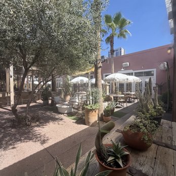 Palma - Sushi Bars Near Me - Phoenix, Arizona Palma - Sushi Bars Near Me - Phoenix, Arizona