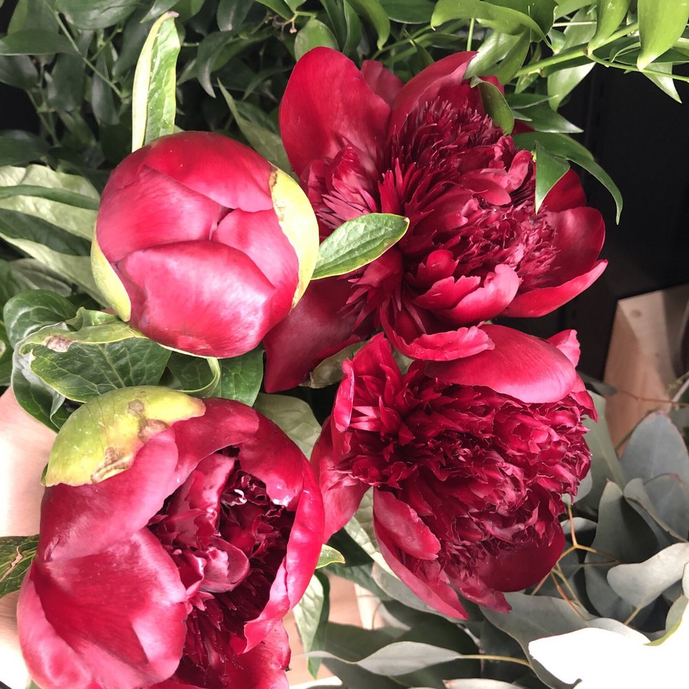 Peonies