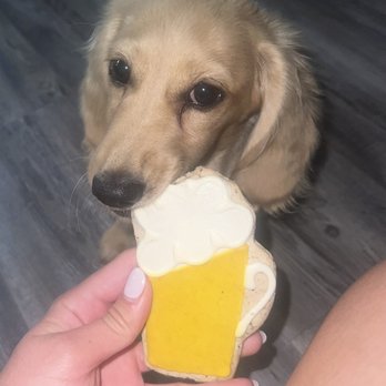 Hollywood Feed - Luka with his cookie - Pet Stores Near Me - Sugar Land, Texas Hollywood Feed - Luka with his cookie - Pet Stores Near Me - Sugar Land, Texas