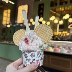 Anita Gelato gift card