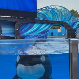 Orka show Orka show