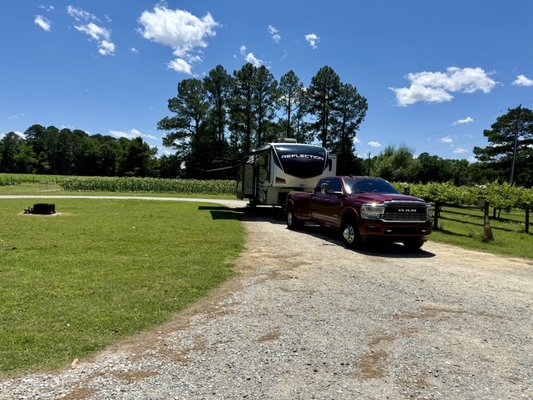 A Secret Garden Winery by null