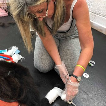 Riverside Dog Grooming School - Specialty Schools Near Me - Manchester, XGM Riverside Dog Grooming School - Specialty Schools Near Me - Manchester, XGM