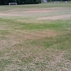 Riley Park - Open fields for soccer